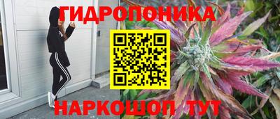героин Гусев
