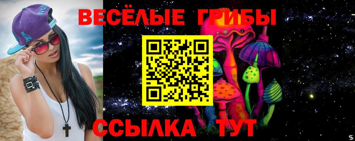 где найти   Вход с VPN  Нефтекамск  Псилоцибиновые грибы Cubensis 
